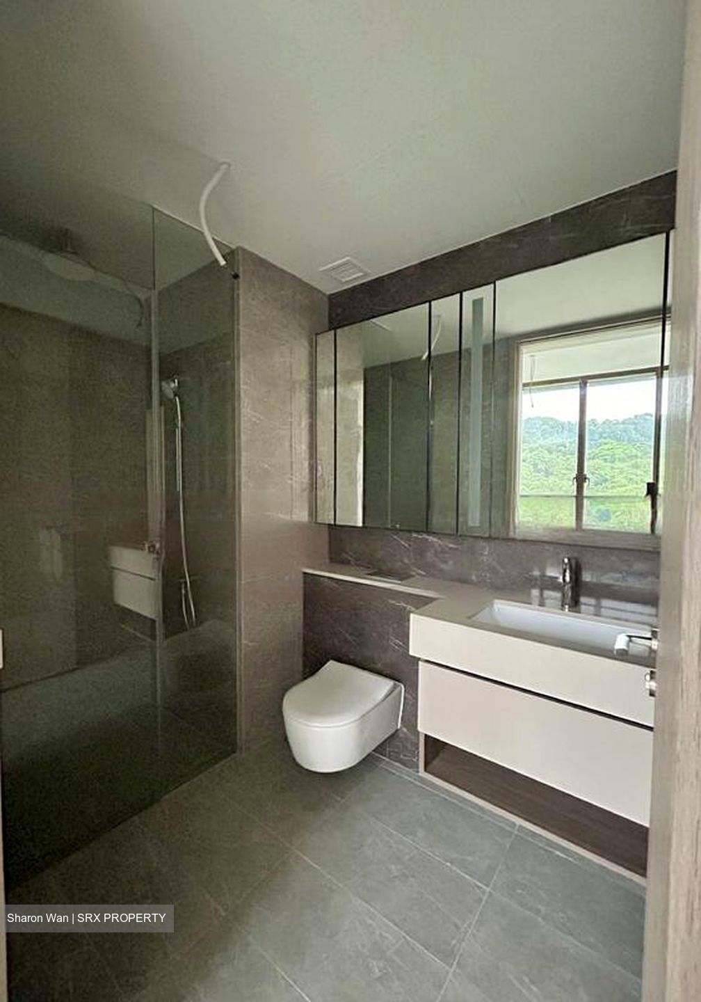 Dairy Farm Residences (D23), Apartment #430419831